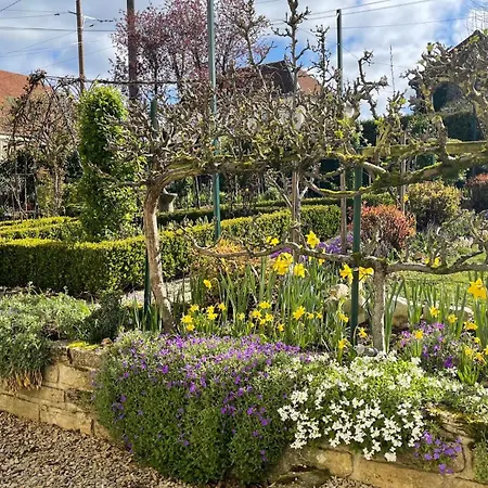 Apartamento Coin Perdu D *