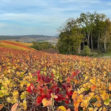Coin Perdu D Apartamento Vendeuvre-sur-Barse